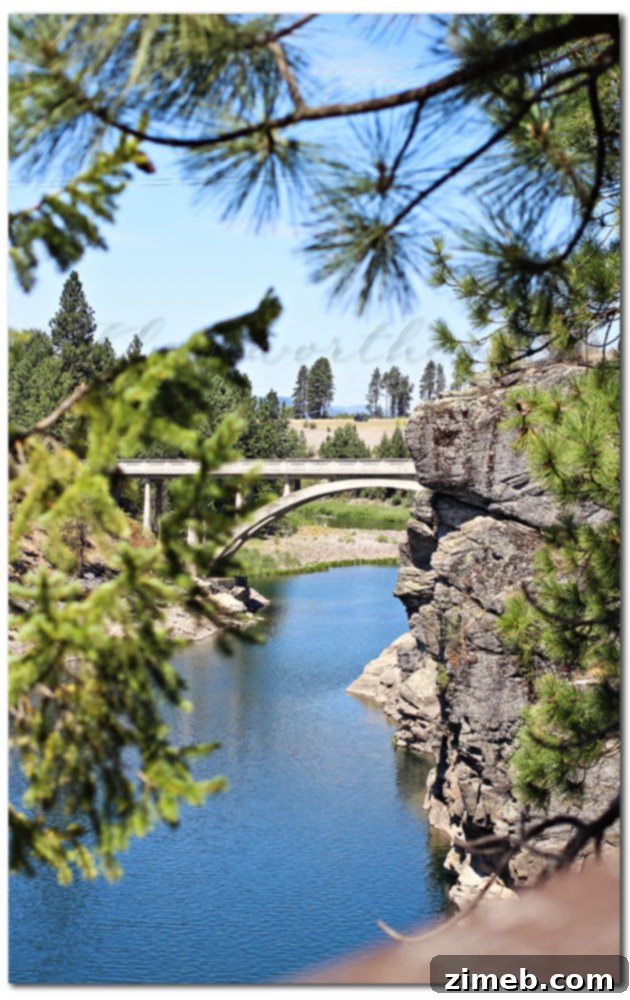 Family exploring local dam and natural surroundings during an outdoor outing