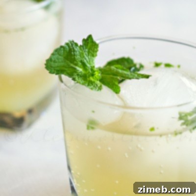 Mint Julep Mocktail : Mocktail Monday