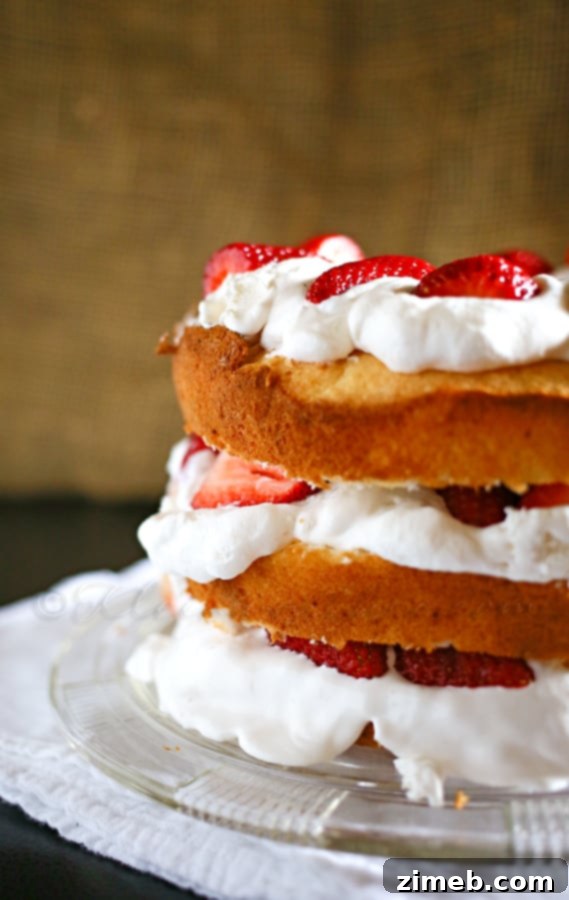 Effortless Dark Chocolate Almond Dream 7 Layered Strawberry Shortcake, a fresh and fruity summer classic with layers of cake, strawberries, and cream.