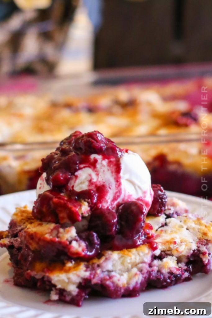 Effortless Blackberry Cobbler 16 A beautiful, golden-brown blackberry cobbler, ready to be served, showcasing its simple yet elegant appeal.