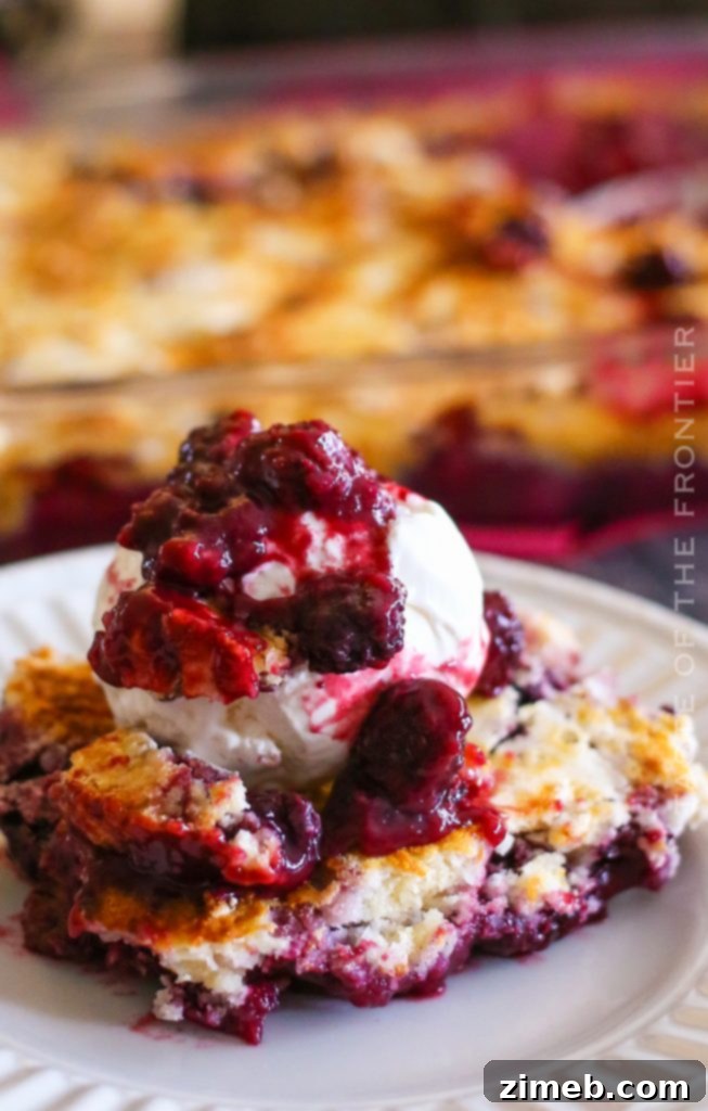 Effortless Blackberry Cobbler 5 A serving of warm blackberry cobbler topped with a scoop of vanilla ice cream, melting slightly, in a cozy setting.