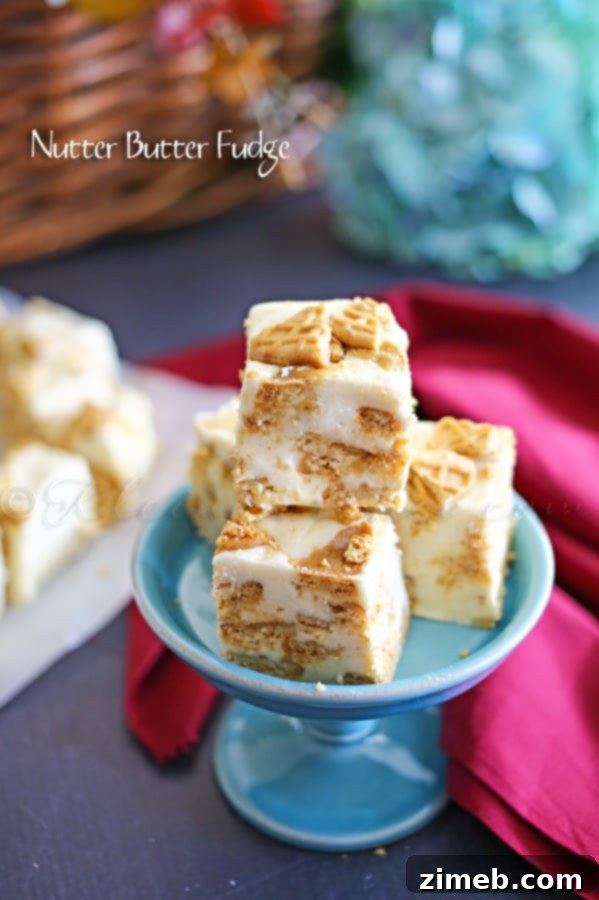 Ultimate Nutter Butter Fudge 3 Nutter Butter Fudge close-up
