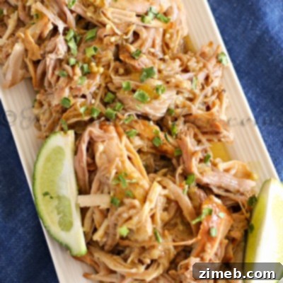 Sweet Pork Barbacoa :Easy Family Dinner Ideas