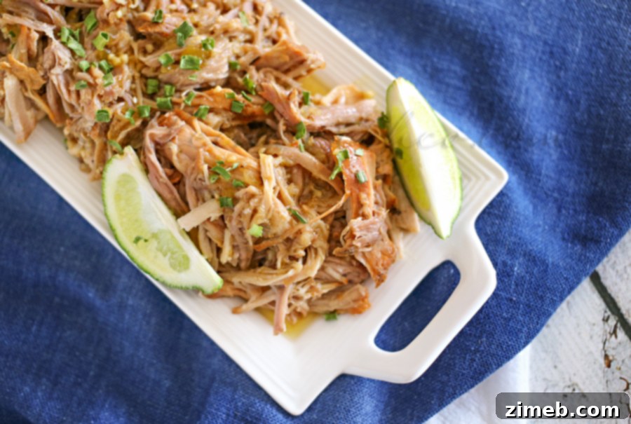 Sweet Pork Barbacoa: Easy Family Dinner Ideas