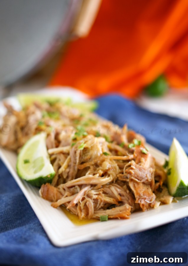 Sweet Pork Barbacoa: Easy Family Dinner Ideas