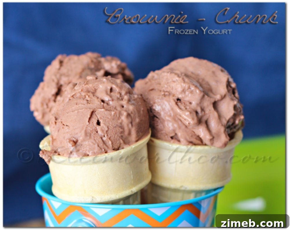 Bubblegum Burst Frozen Yogurt 9 Brownie Chunk Frozen Yogurt - Indulgent frozen treat