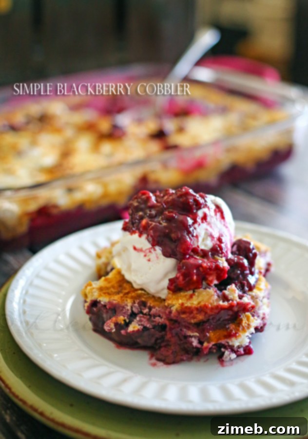 French Plum Bake 4 Simple Blackberry Cobbler