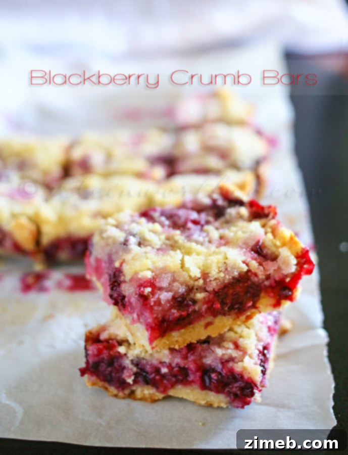 French Plum Bake 5 Blackberry Crumb Bars