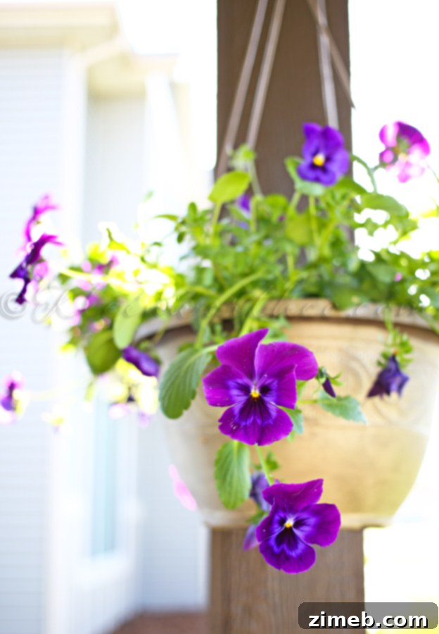 Summer Porch Makeover - Overview of the entire revamped front porch, ready for summer enjoyment.