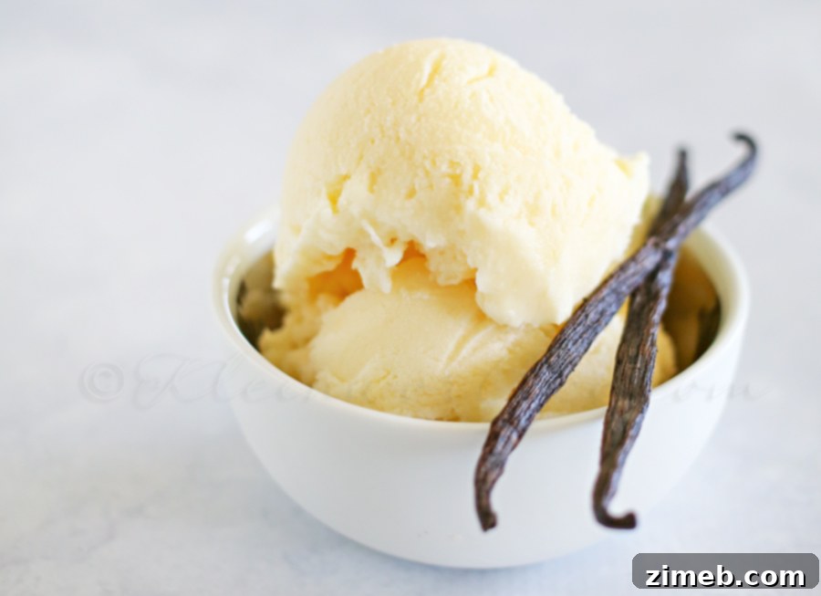 Signature Vanilla Frozen Yogurt 3 Homemade Vanilla Frozen Yogurt - No Churn Recipe