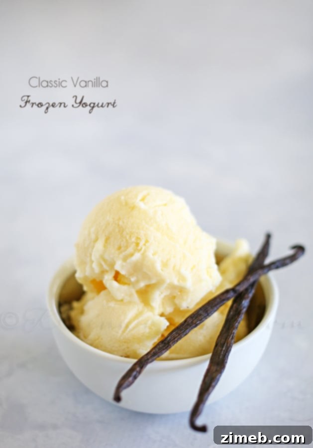 Signature Vanilla Frozen Yogurt 4 Easy 5-Ingredient Vanilla Frozen Yogurt
