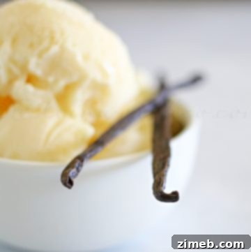 Classic Vanilla Frozen Yogurt - Recipe Image