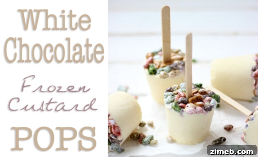 Signature Vanilla Frozen Yogurt 8 White Chocolate Custard Frozen Pops - A Sweet Treat