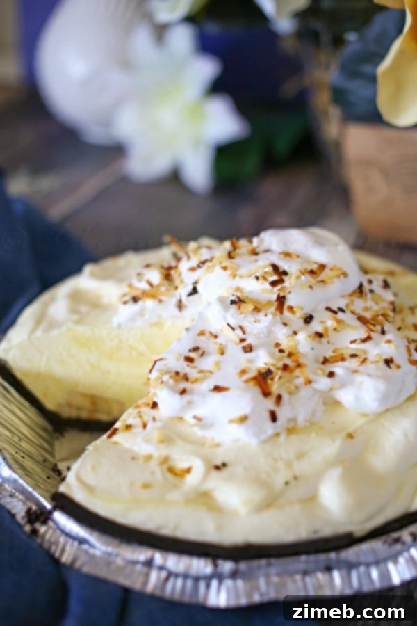 Dreamy Oreo Banana Pie 4 20150609_77 copy web