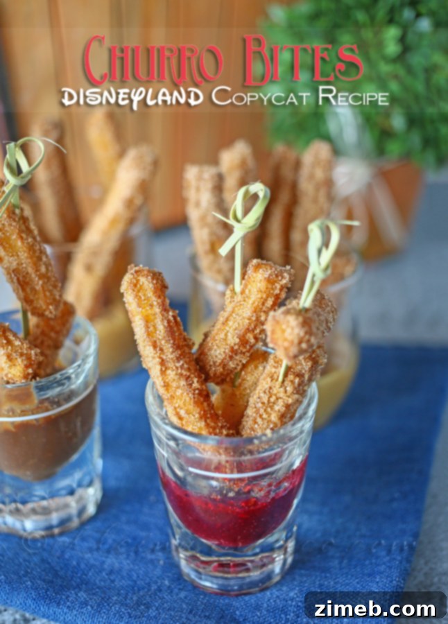 Disney Sparkle Popcorn 6 Churro Bites - Disneyland Copycat Recipe