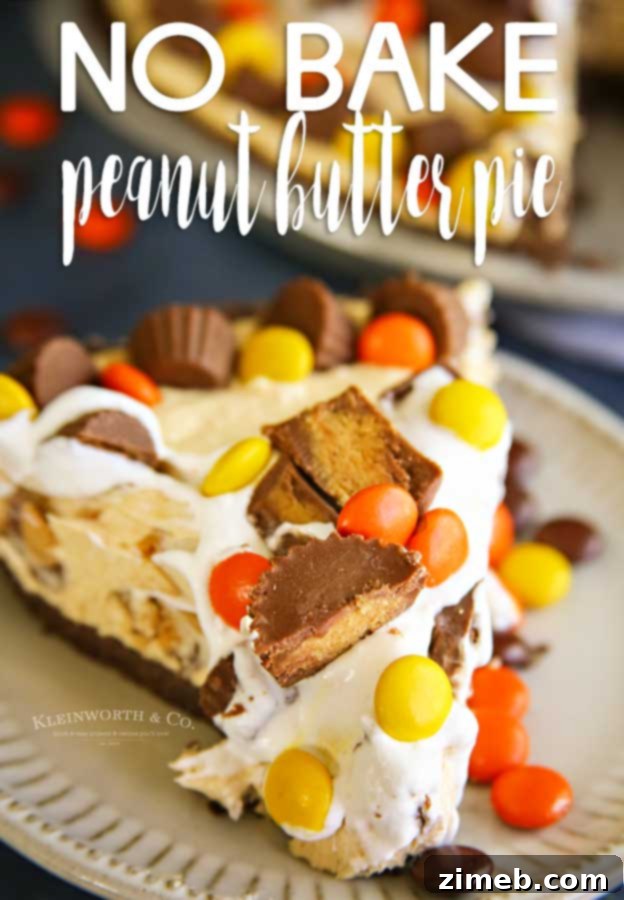 No-Bake Peanut Butter Pie