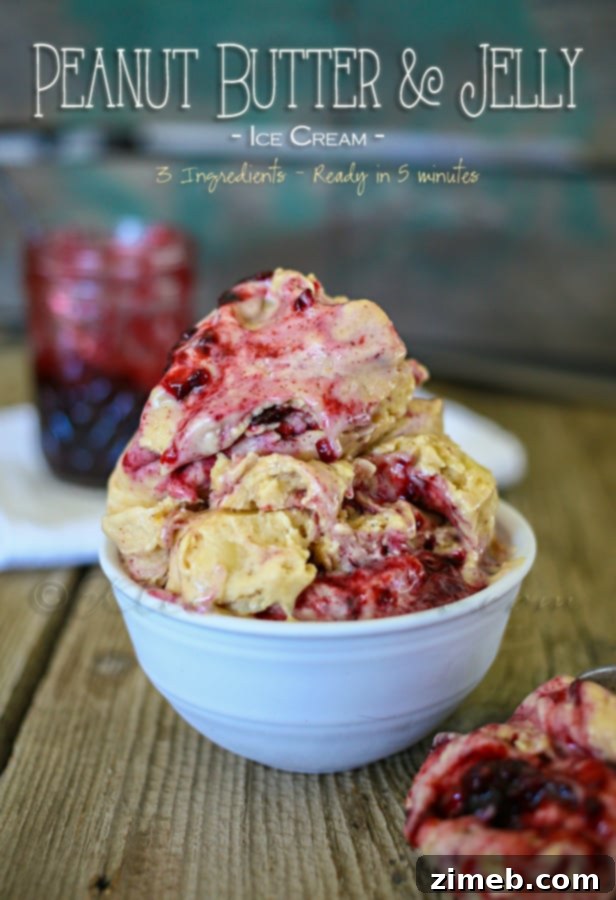Zesty Berry Oreo Swirl Parfait 6 Peanut Butter & Jelly Ice Cream - Homemade Dessert