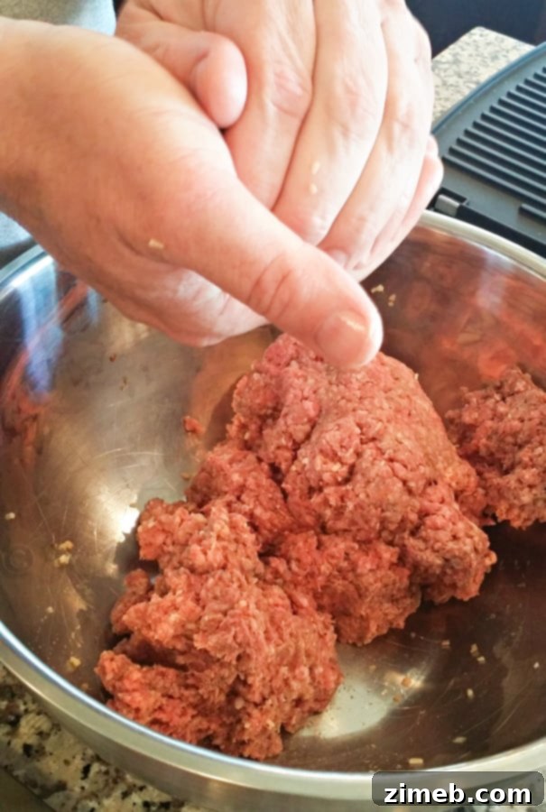 Crunchy Onion Burger : Easy Family Dinner Ideas