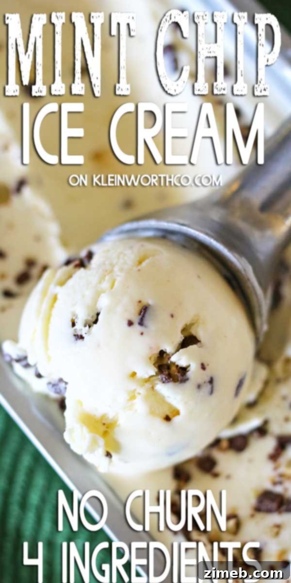 Emerald Mint Bliss 2 Homemade Mint Chocolate Chip Ice Cream with a swirl of mint and chocolate chips.