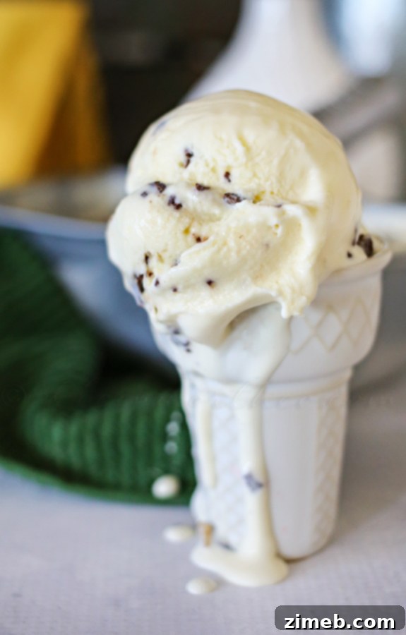 Emerald Mint Bliss 4 Close-up of Mint Chocolate Chip Ice Cream with Andes mint pieces.