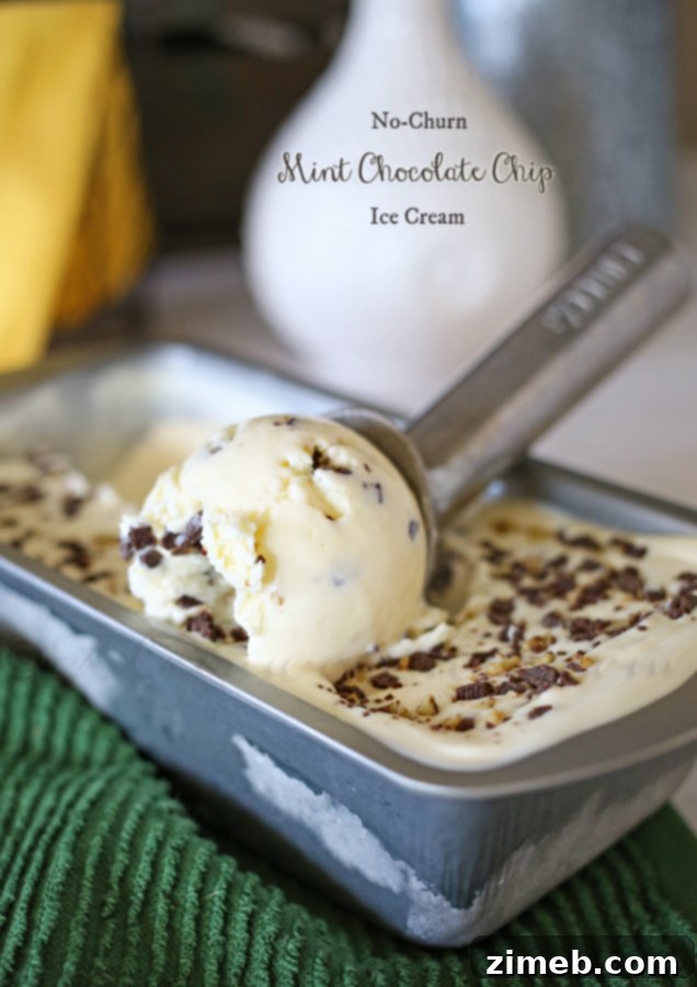 Emerald Mint Bliss 6 A large scoop of Mint Chocolate Chip Ice Cream in a bowl.