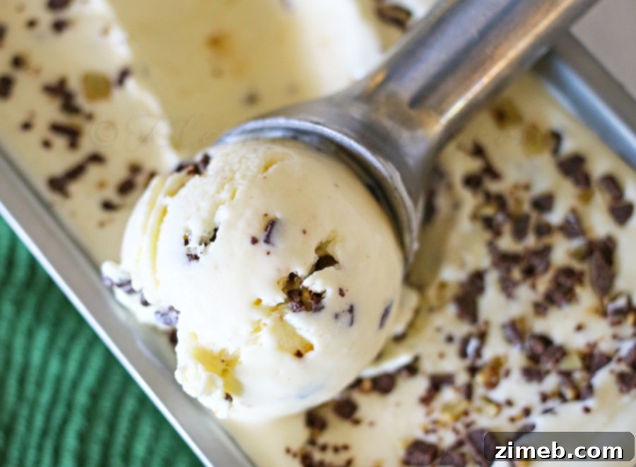 Emerald Mint Bliss 10 Mint Chocolate Chip Ice Cream in a container, ready to be scooped.