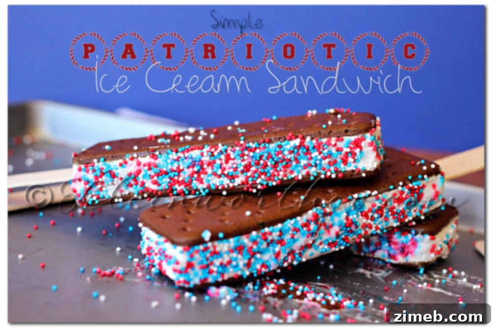 Simple Patriotic Ice Cream Sandwich with red, white, and blue sprinkles