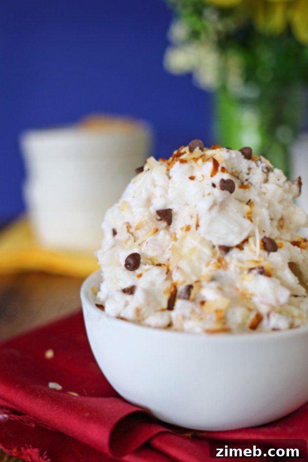 Cocoa Almond Coconut Chill 3 Close-up of a bowl of Almond Joy Sorbet, showcasing the blend of coconut, almonds, and chocolate chips.