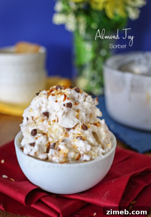 Cocoa Almond Coconut Chill 4 Overhead view of Almond Joy Sorbet garnished with extra chocolate and coconut flakes.