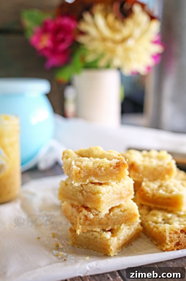 Salted Caramel Butter Bars - Ingredients laid out for preparing the delicious dessert. Featuring butter, sugars, flour, and caramel.
