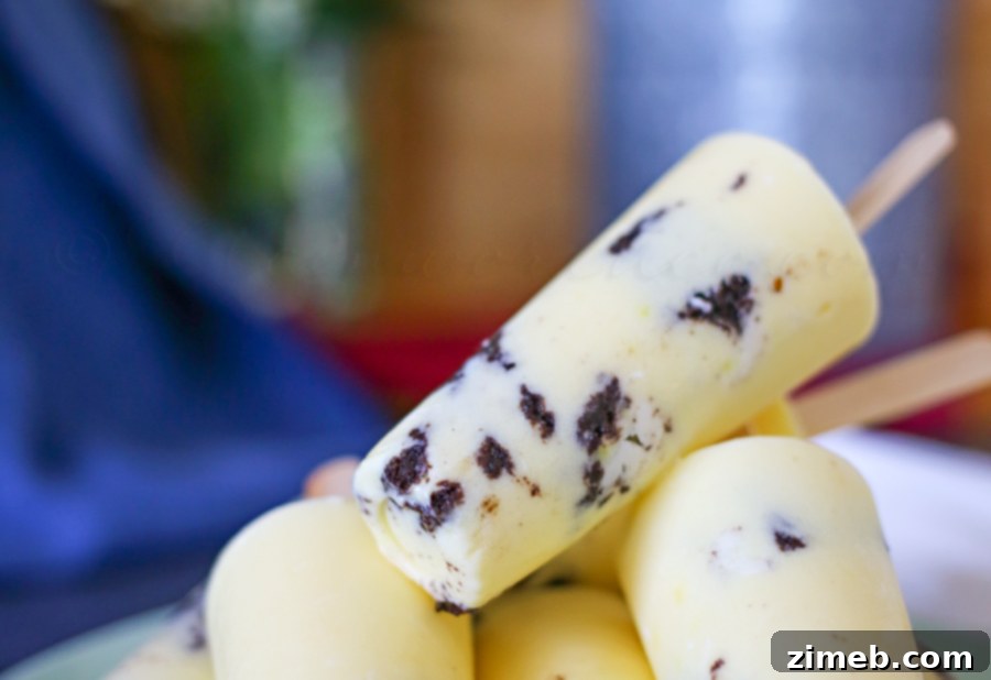 Creamy Cookie Pudding Pops 3 Close-up of a homemade Cookies & Cream Pudding Pop on a rustic surface
