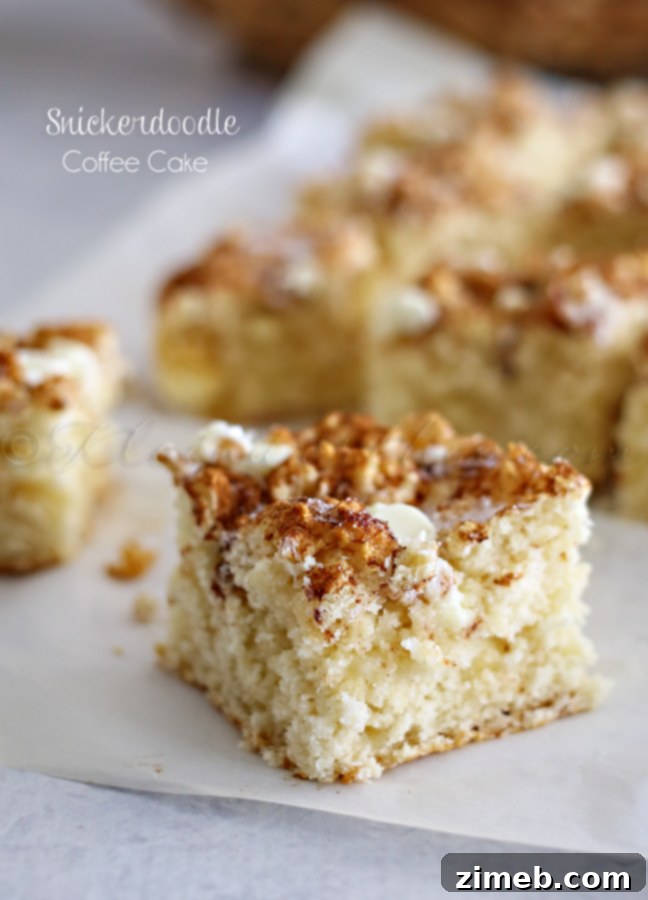 Snickerdoodle Coffee Cake