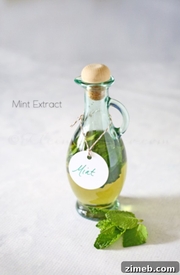 Cooling Mint Elixir 3 Fresh Mint Leaves for Extract