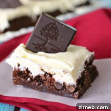 Dark Chocolate Blueberry Brownies
