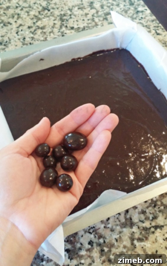 Dark Chocolate Blueberry Dream Brownies 6 Dark Chocolate Blueberry Brownies