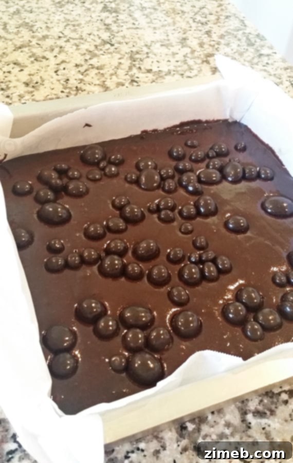 Dark Chocolate Blueberry Dream Brownies 7 Dark Chocolate Blueberry Brownies