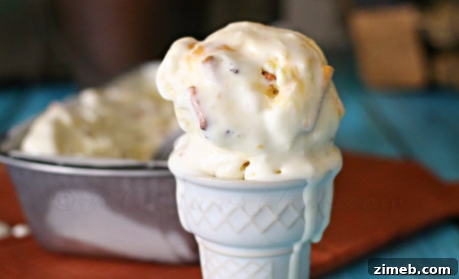 Salty Caramel Pretzel Crunch Ice Cream 3 Salted Caramel Pretzel Ice Cream