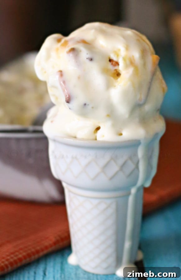 Salty Caramel Pretzel Crunch Ice Cream 4 Salted Caramel Pretzel Ice Cream