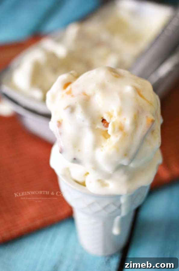 Salty Caramel Pretzel Crunch Ice Cream 7 frozen dessert - Salted Caramel Pretzel Ice Cream