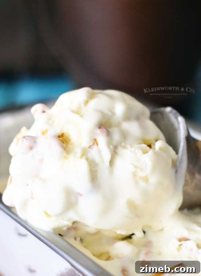 Salty Caramel Pretzel Crunch Ice Cream 8 homemade ice cream recipe- Salted Caramel Pretzel Ice Cream