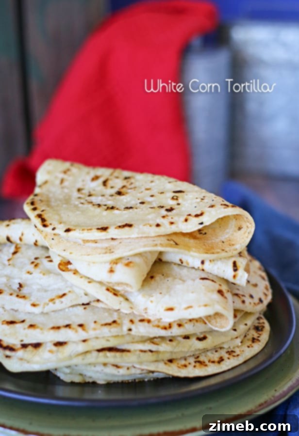 Peanut Butter and Jelly Arepas 8 Homemade White Corn Tortillas Recipe