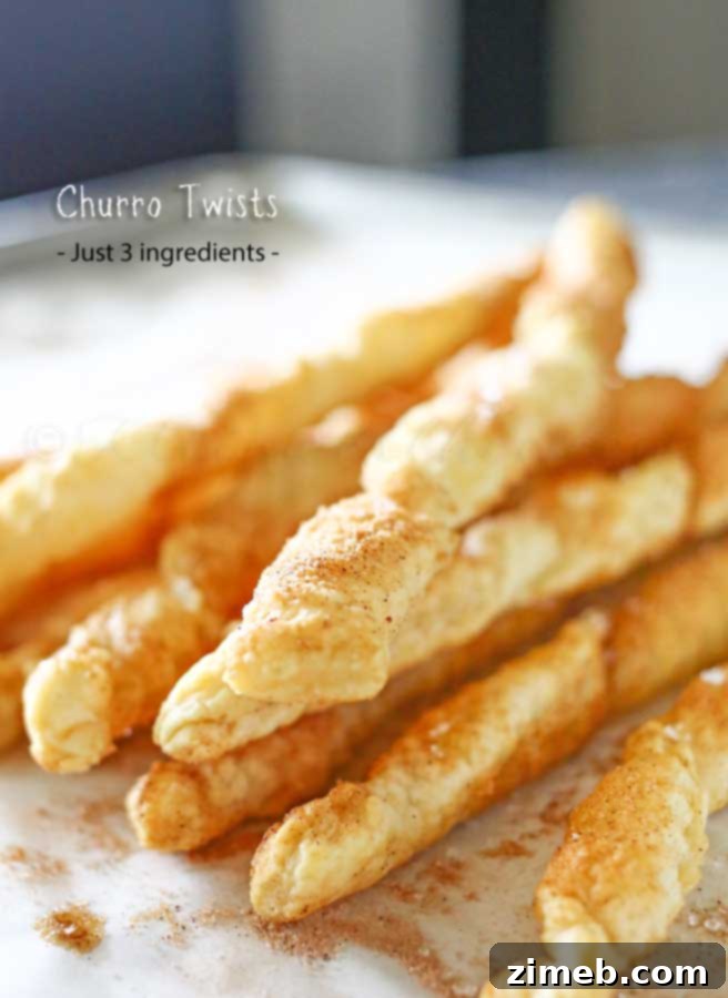 Golden brown Churro Twists sprinkled with cinnamon sugar on a white plate