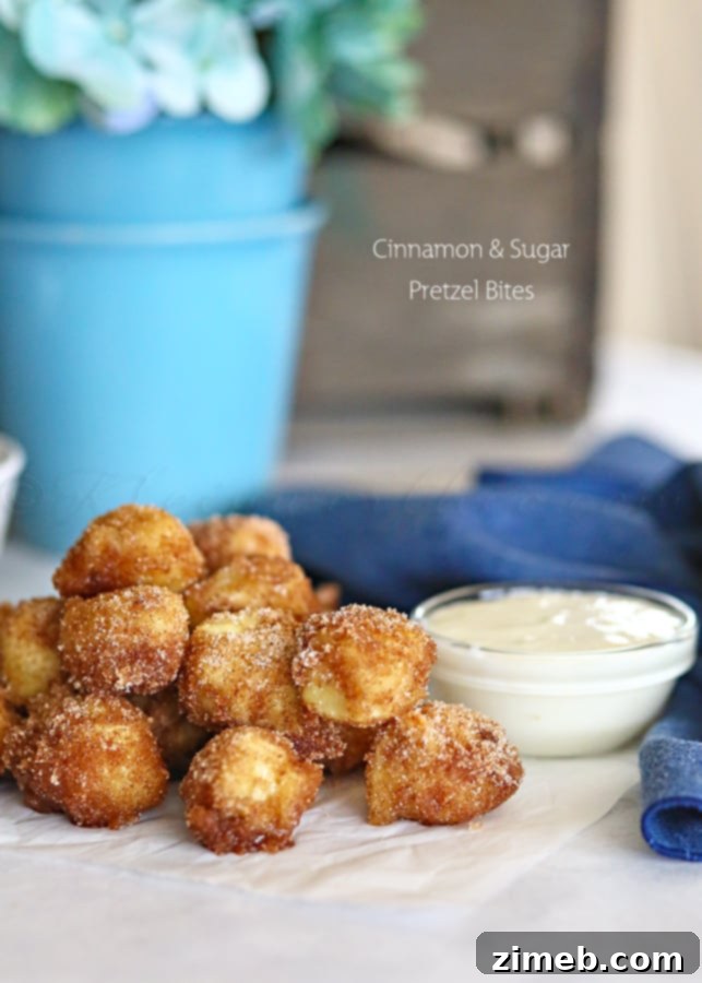 Cinnamon & Sugar Pretzel Bites