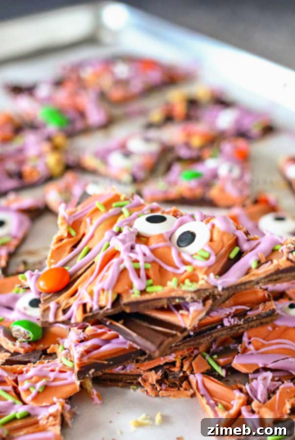 Monster Mash Bark 4 Assortment of Halloween Monster Bark pieces on a white surface, showcasing different textures and colors.