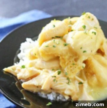 Chicken & Dumplings Rice Bowl