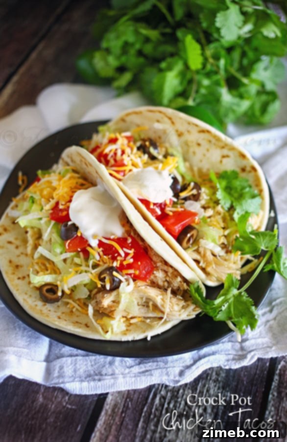 Hearty Chicken and Dumplings Rice Bowl 7 Easy Crock Pot Chicken Tacos, perfect for a customizable family dinner night