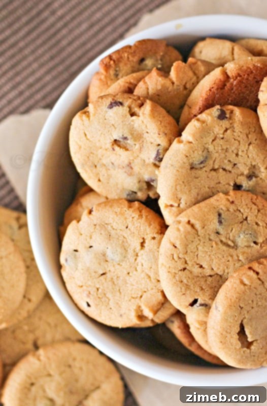 Milk Matters 6 Mini Peanut Butter Chocolate Chip Cookies – a delightful treat for milk pairing.
