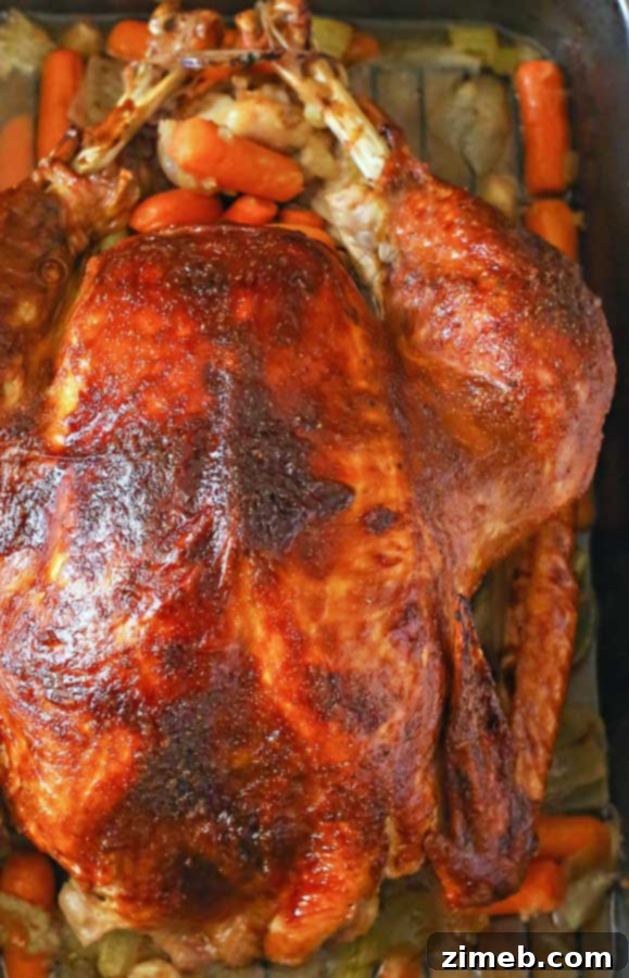 Mastering the Perfect Roast Turkey 10 How to Roast a Turkey
