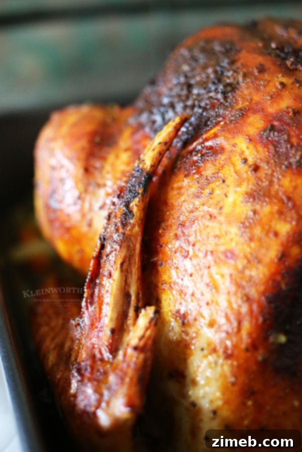 Mastering the Perfect Roast Turkey 11 Roasted Turkey Recipe
