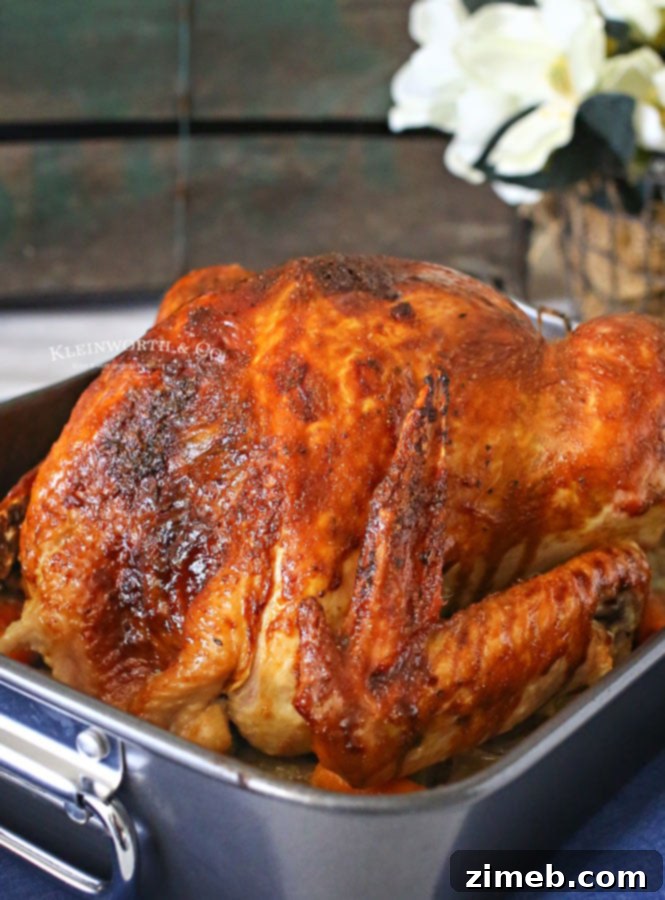 Mastering the Perfect Roast Turkey 12 Roasted Turkey